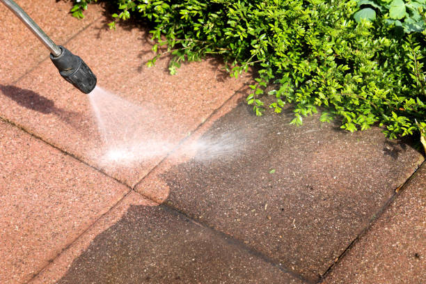 Best Exterior Home Cleaning  in Westke, LA